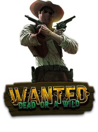 Wanted Dead or a Wild game artwork