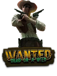 Wanted Dead or a Wild game artwork